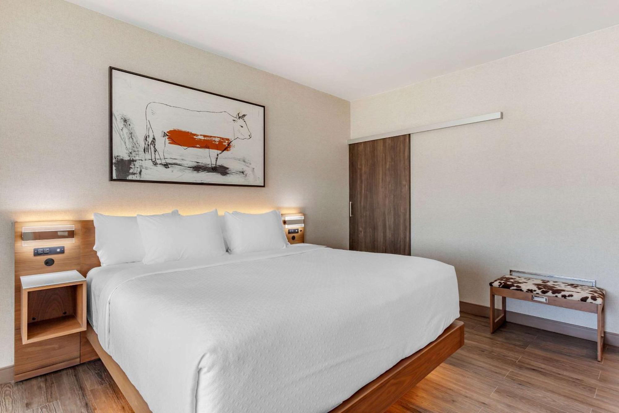 Cambria Hotel Richardson - Dallas Eksteriør bilde