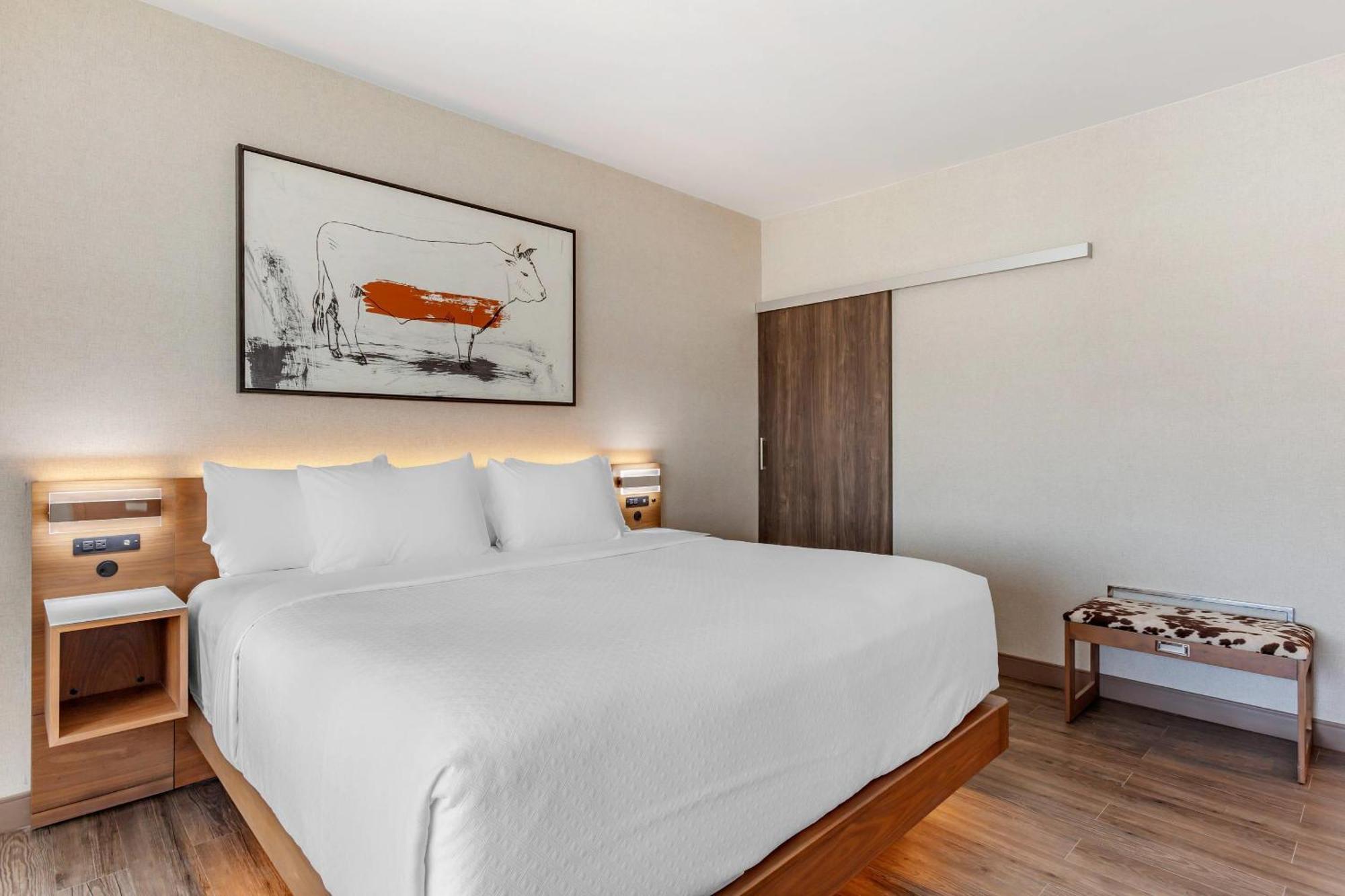 Cambria Hotel Richardson - Dallas Eksteriør bilde